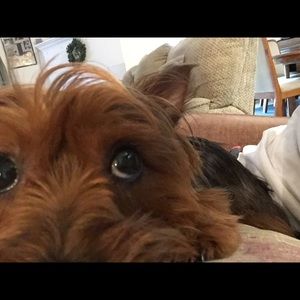 Meet your Posher, Olivia